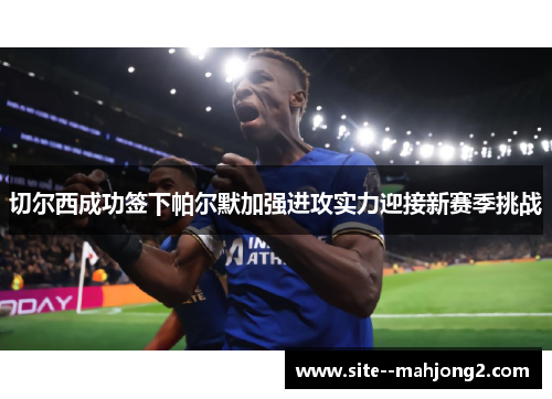 切尔西成功签下帕尔默加强进攻实力迎接新赛季挑战 切尔西成功签下帕尔默加强进攻实力迎接新赛季挑战